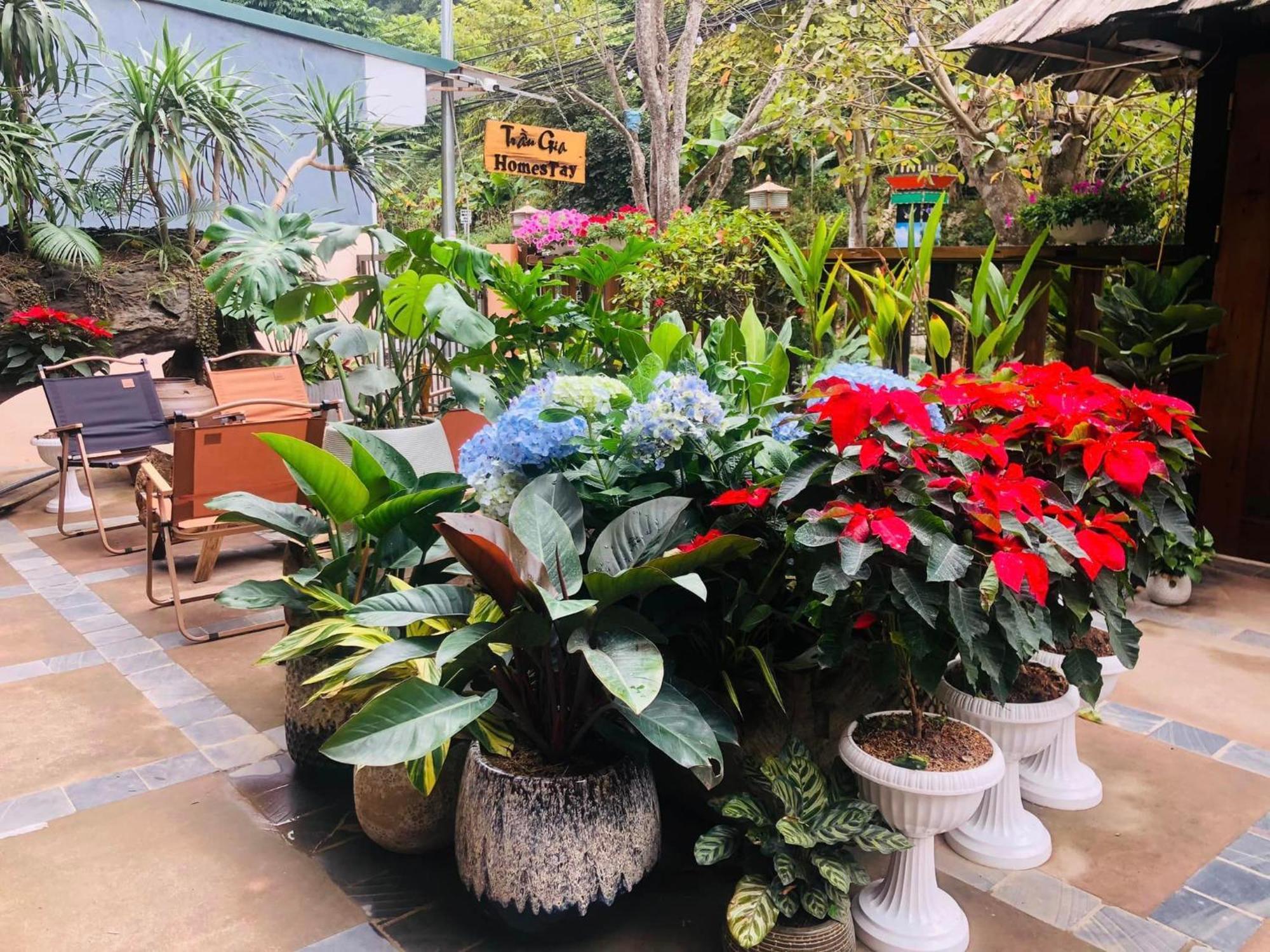 Tran Gia Homestay Nghia Lo Exterior foto